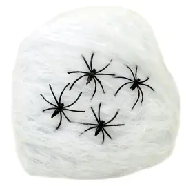 Spindelvev med 4 Edderkopper