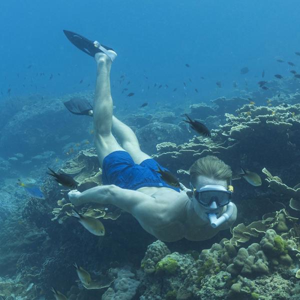 Snorkelsett med Svømmefinner Spark Wave