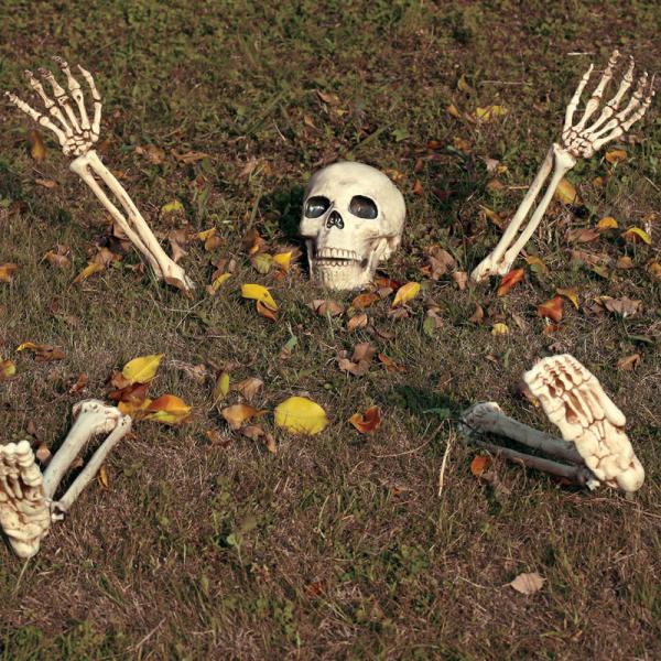 Halloween Dekorasjon Skjelett