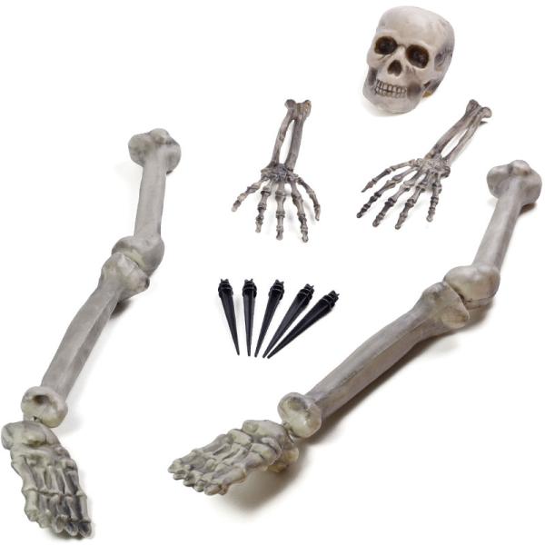 Halloween Dekorasjon Skjelett