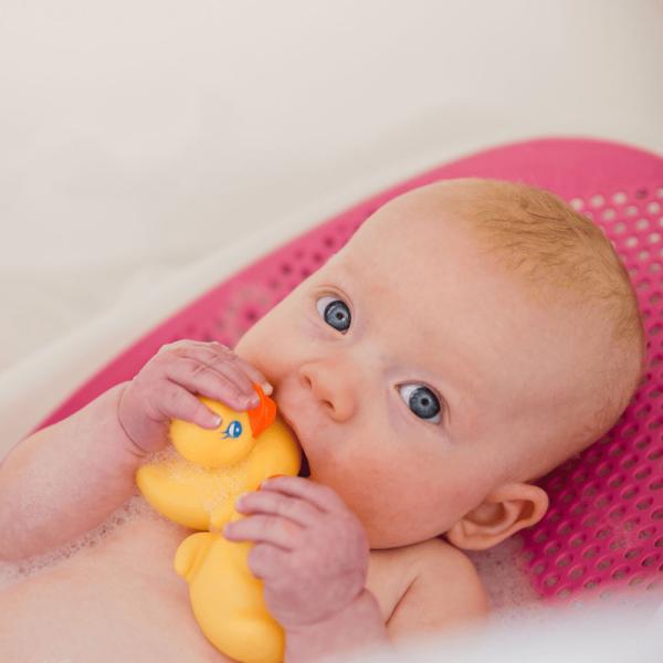 Badeand med Familie 4-pakning