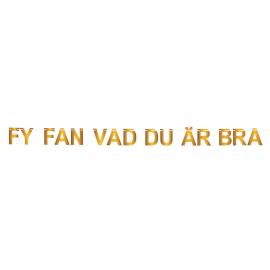 Girlander Fy Fan Vad Du &Auml;r Bra Gull 5 m