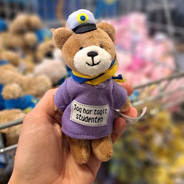 Studentbamse Bjørn med Hettegenser 16 cm