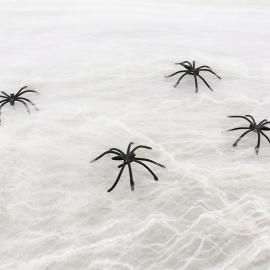 Spindelvev Hvit
