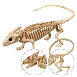 Iguana Skjelett Dekorasjon