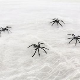 Spindelvev Hvit